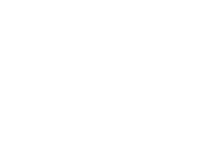 Braun's skin i-expert logo in white