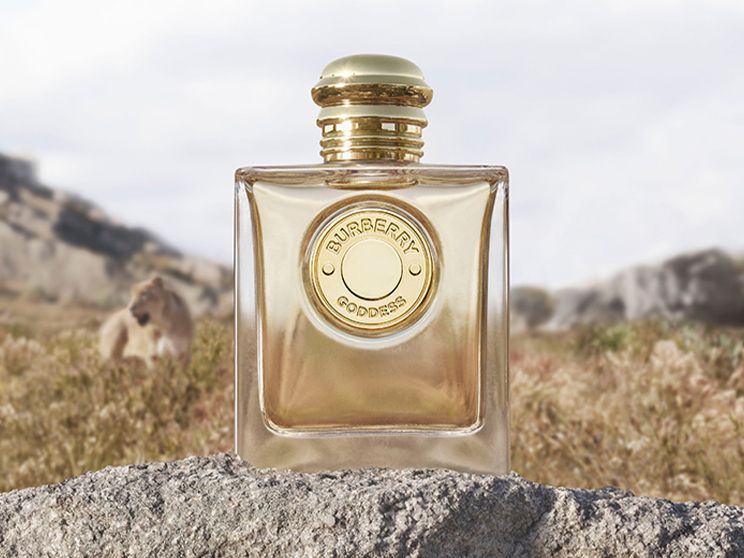 Burberry perfume outlet price usa