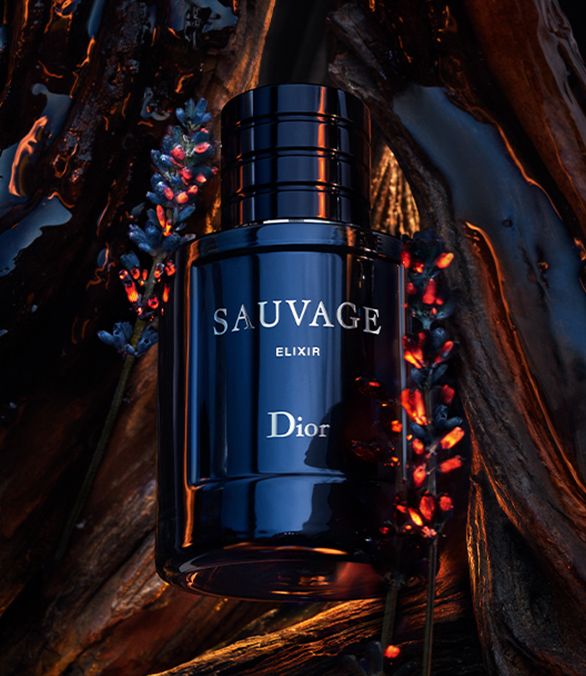 Mens perfume hot sale dior